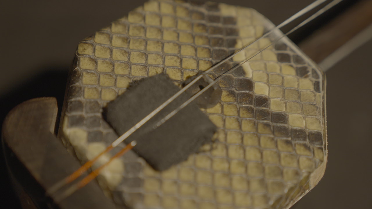 Macro detail of the erhu bridge and strings
