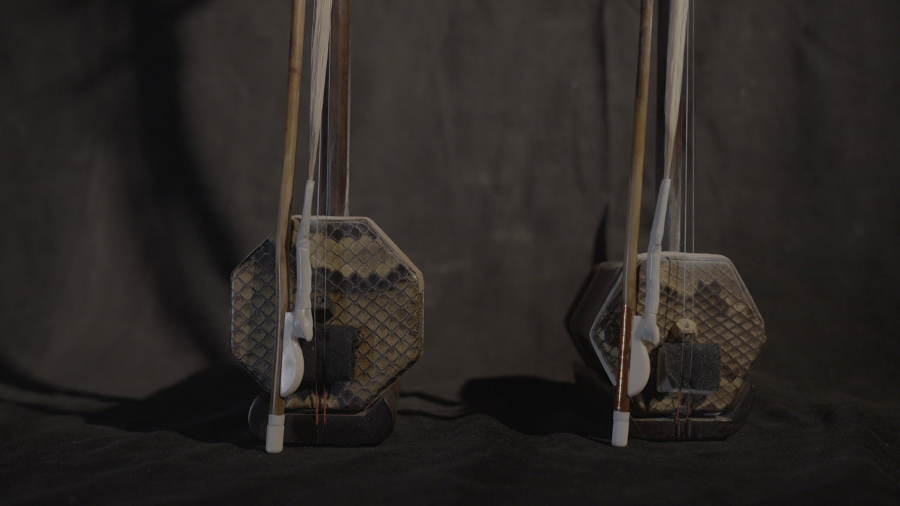 Two erhus photographed in the studio